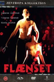 Flænset 2000 one on netflix