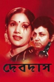 Devdas 1982 one on netflix