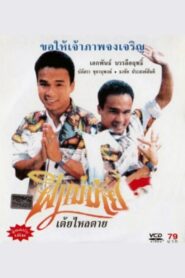 Widow Ghost 1990 one on netflix