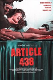 Madde 438 1991 one on netflix