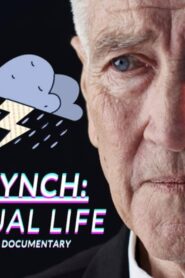 David Lynch: The Virtual Life 2020 one on netflix