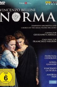 Norma 2007 one on netflix