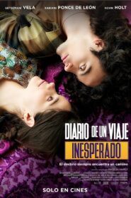 Diary of an Unexpected Journey 2023 one on netflix