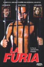 The Fury 1997 one on netflix