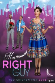 Mrs Right Guy 2016 one on netflix