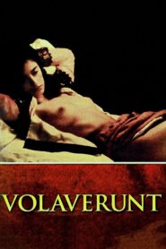 Volaverunt 1999 one on netflix