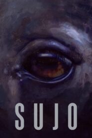 Sujo 2024 one on netflix