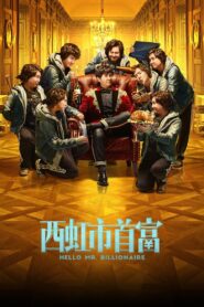 Hello Mr. Billionaire 2018 one on netflix
