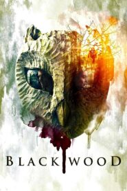 Blackwood 2014 one on netflix