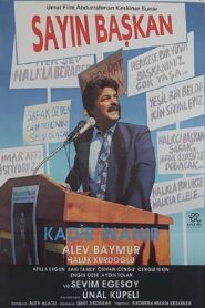 Sayın Başkan 1990 one on netflix