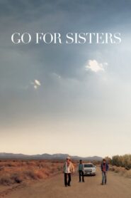 Go for Sisters 2013 one on netflix