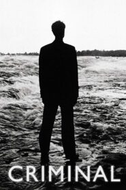 Criminal 1994 one on netflix