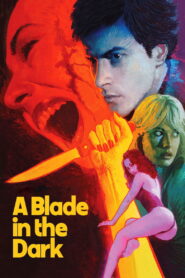 A Blade in the Dark 1983 one on netflix