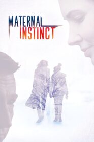 Maternal Instinct 2017 one on netflix