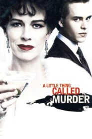 A Little Thing Called Murder 2006 one on netflix