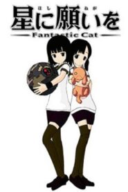 Wish Upon a Star: Fantastic Cat 2009 one on netflix
