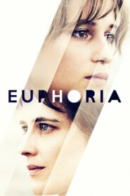 Euphoria 2018 one on netflix