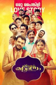 Kalyanam 2018 one on netflix