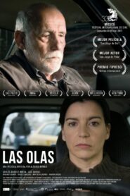 The Waves 2012 one on netflix