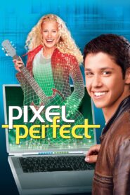 Pixel Perfect 2004 one on netflix
