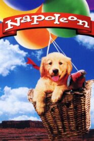 Napoleon 1995 one on netflix