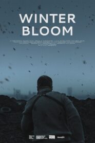 Winter Bloom 2022 one on netflix