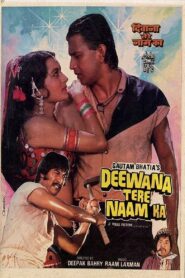 Deewana Tere Naam Ka 1987 one on netflix