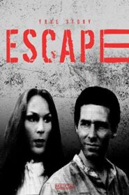 Escape 1980 one on netflix