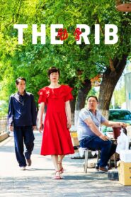 The Rib 2018 one on netflix