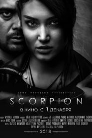 Scorpion 2018 one on netflix