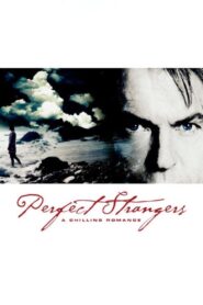 Perfect Strangers 2003 one on netflix