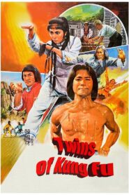 Twins of Kung Fu 1981 one on netflix