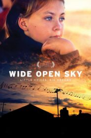 Wide Open Sky 2015 one on netflix