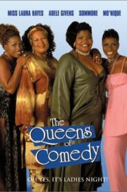 The Queens of Comedy 2001 one on netflix