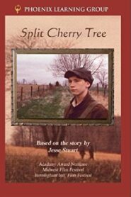 Split Cherry Tree 1982 one on netflix