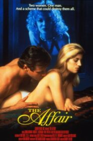 The Affair 1995 one on netflix