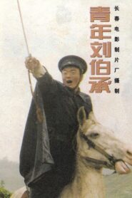 青年刘伯承 1996 one on netflix