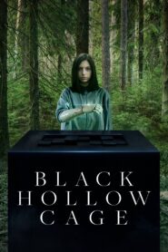 Black Hollow Cage 2017 one on netflix