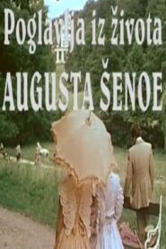 The Life and Times of August Šenoa 1981 one on netflix