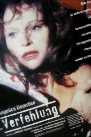 The Mistake 1992 one on netflix