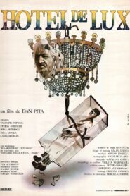 Luxury Hotel 1992 one on netflix