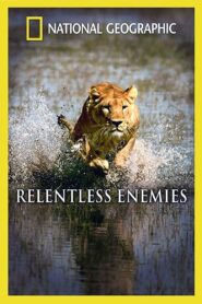 Relentless Enemies: Lions and Buffalo 2006 one on netflix