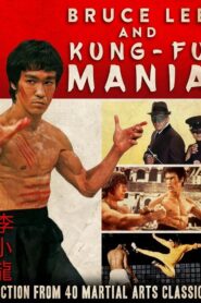 Bruce Lee and Kung Fu Mania 1992 one on netflix