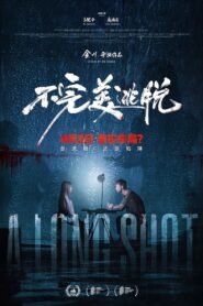A Long Shot 2024 one on netflix