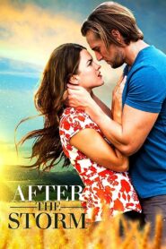 After the Storm 2019 one on netflix