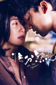 The Lady Improper 2019 one on netflix