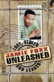 Jamie Foxx Unleashed: Lost, Stolen and Leaked! 2003 one on netflix