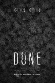 Dune 2020 one on netflix