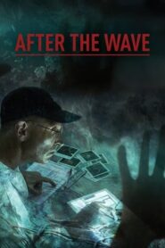 After the Wave 2014 one on netflix