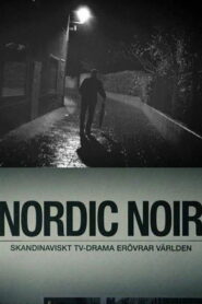 Nordic Noir – The Rise of Scandi Drama 2014 one on netflix
